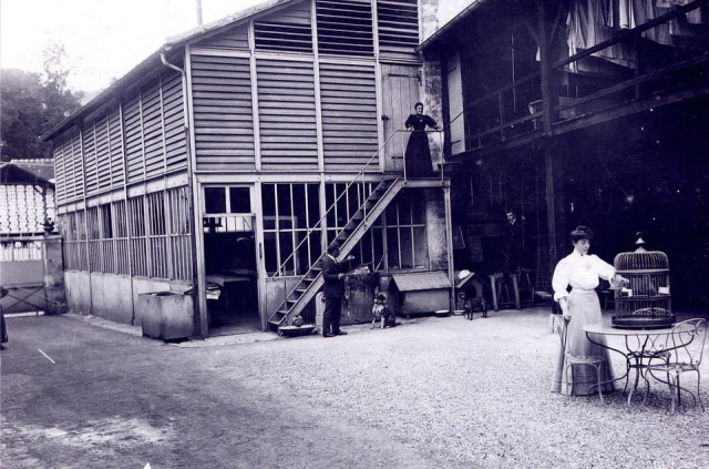 En 1900