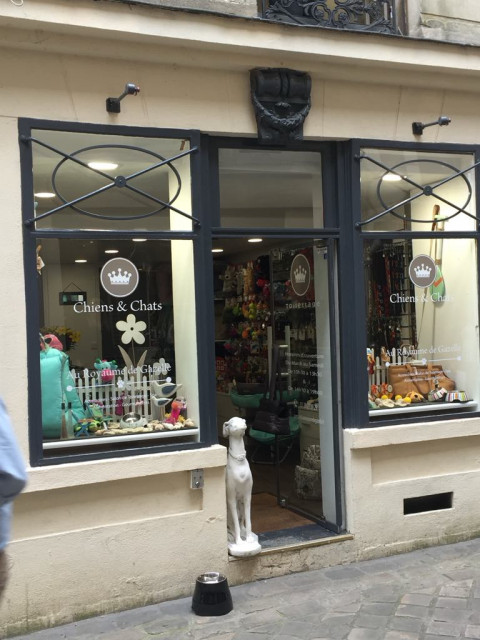 Au Royaume de Gazelle_Versailles