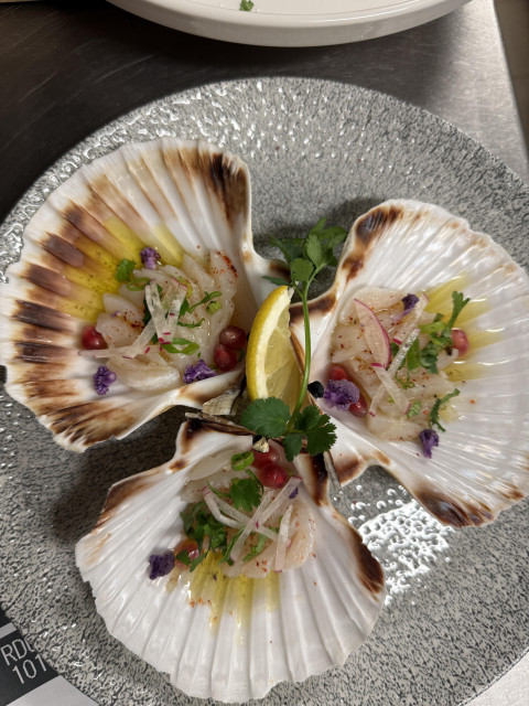 La Petite Boussole_Versailles - © La Petite Boussole La Petite Boussole_Versailles