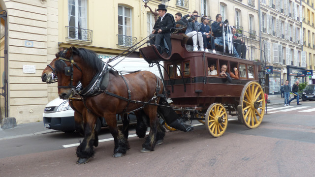 Les Calèches de Versailles - © Les Calèches de Versailles Les Calèches de Versailles