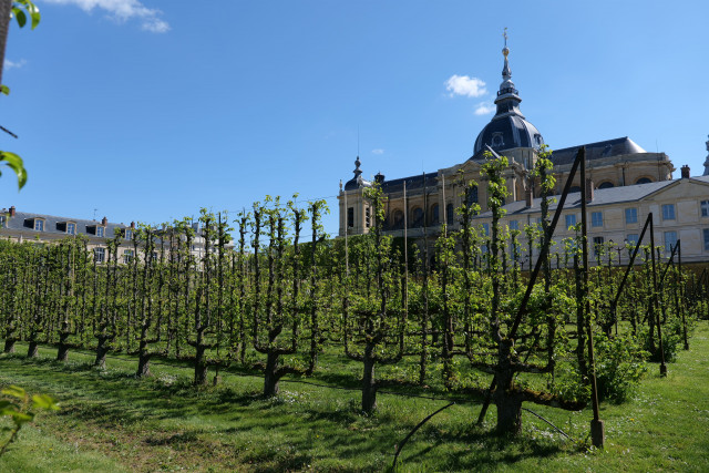 Potager du Roi