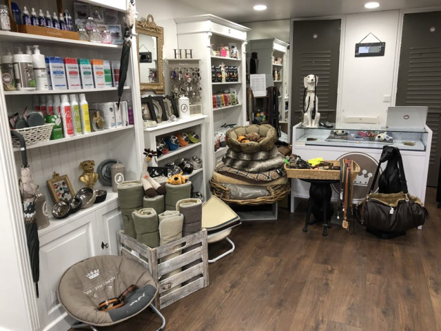 Au Royaume de Gazelle_Versailles - © Au Royaume de Gazelle Au Royaume de Gazelle_Versailles