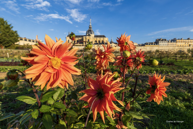 Potager du Roi - © Charles de Valroger Potager du Roi