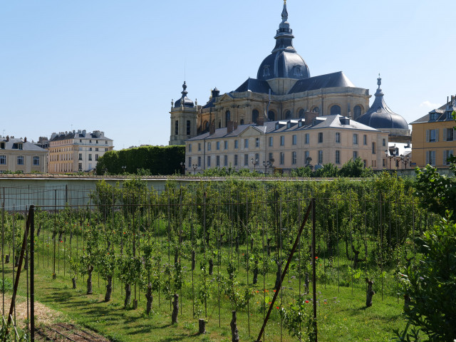 Potager du Roi