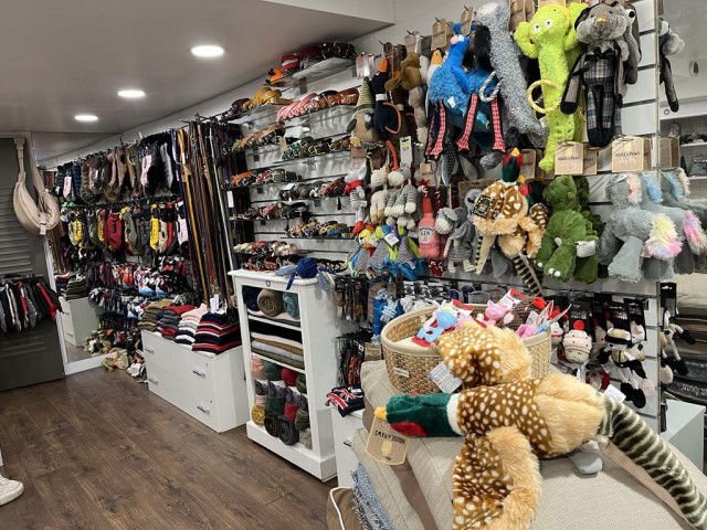 Au Royaume de Gazelle_Versailles