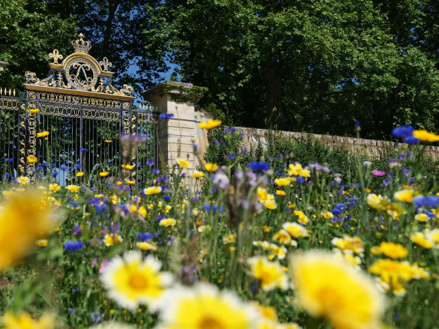 Potager du Roi - © Le Potager du Roi Potager du Roi
