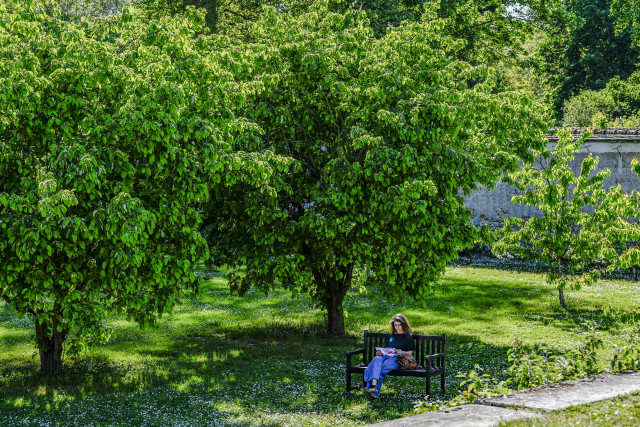 Potager du Roi - © Thibaut Chapotot Potager du Roi