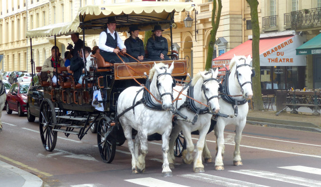 Les calèches de Versailles