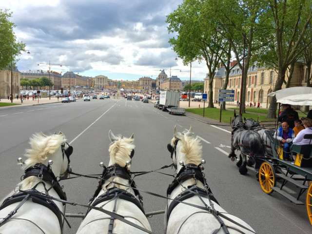 Les Calèches de Versailles