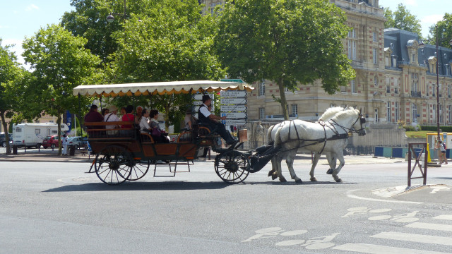Les calèches de Versailles