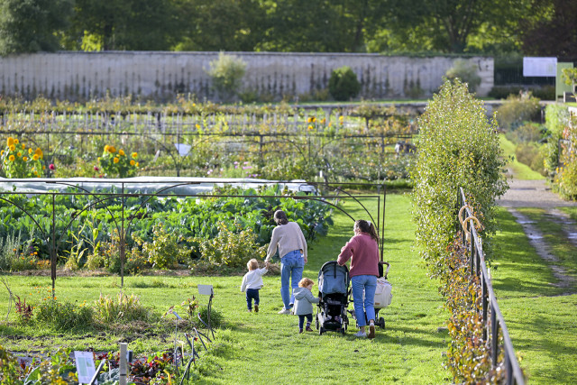 Potager du Roi - © Thibaut Chapotot Potager du Roi
