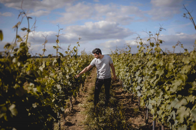 Domaine La Bouche du Roi_Davron - © Domaine la bouche du roi Domaine La Bouche du Roi_Davron