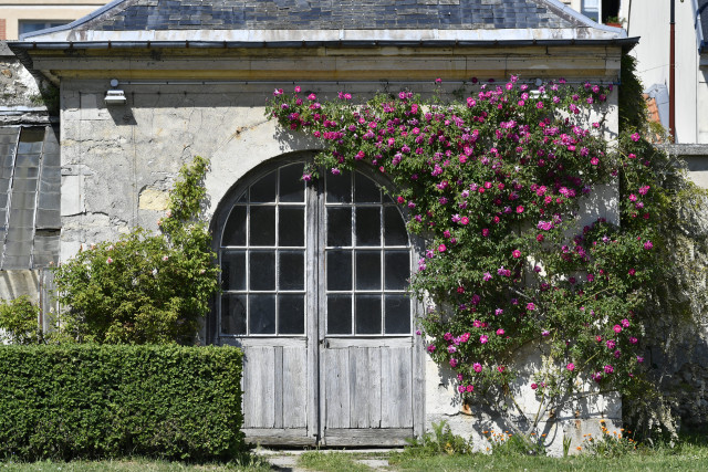 Potager du Roi - © Thibaut Chapotot Potager du Roi