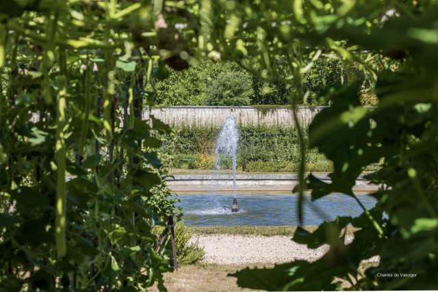 Potager du Roi - © Charles de Valroger Potager du Roi