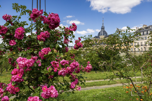 Potager du Roi - © Charles de Valroger Potager du Roi