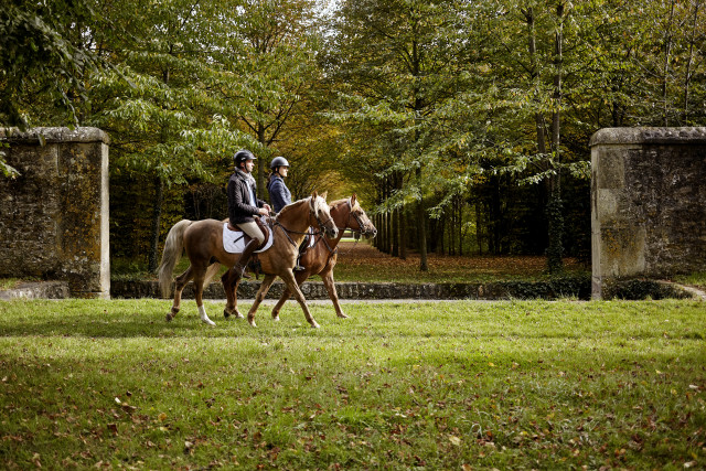 Balade en cheval - © Horse In The City Balade en cheval