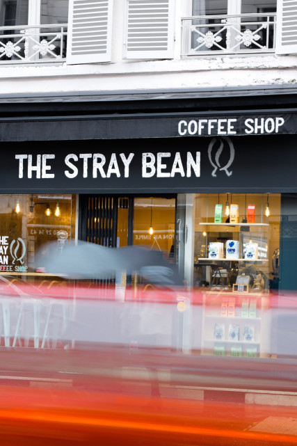 The Stray Bean - © The Stray Bean The Stray Bean