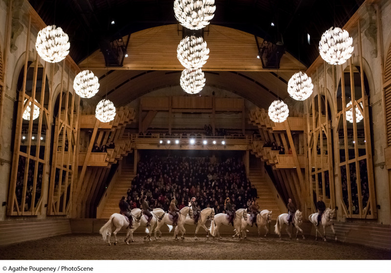 Equestrian Academy of Versailles