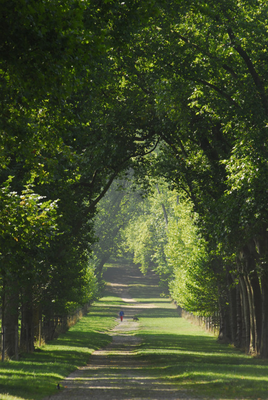 Pièce d'eau des Suisses - © Ville de Versailles Pièce d'eau des Suisses