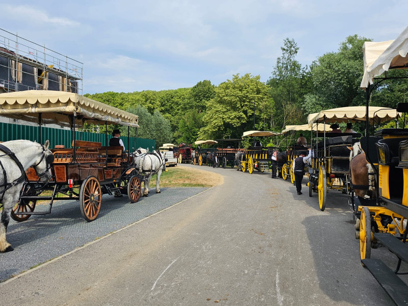 Les Calèches de Versailles Les Calèches de Versailles