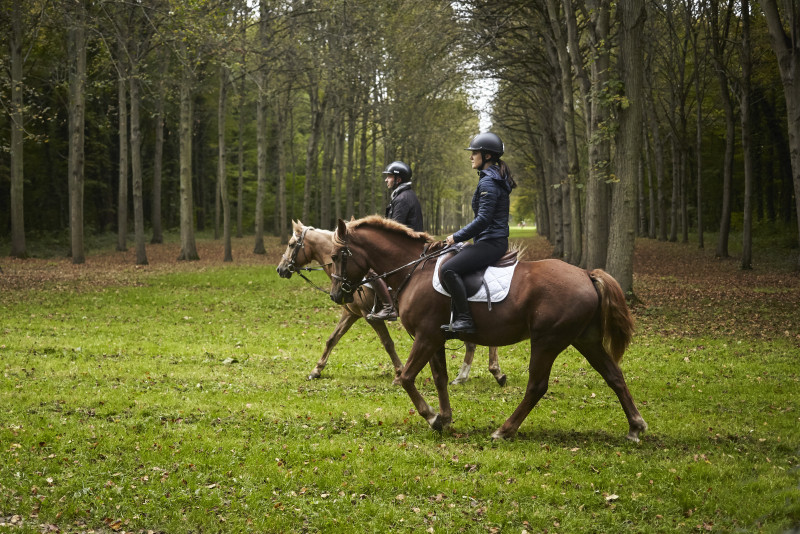 promenade équestre