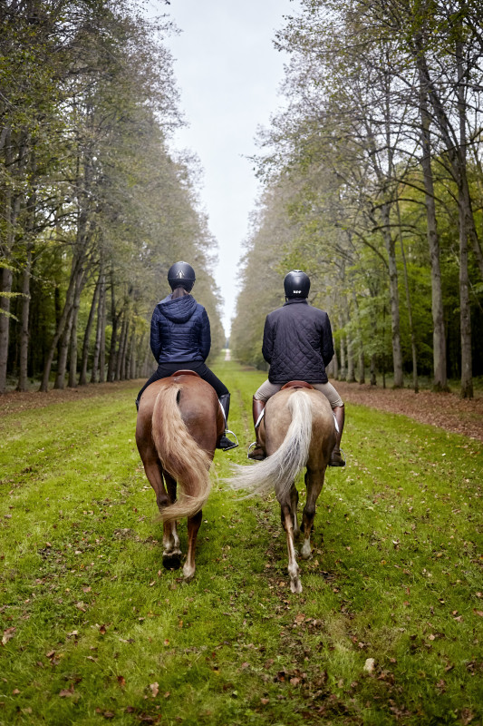 promenade équestre