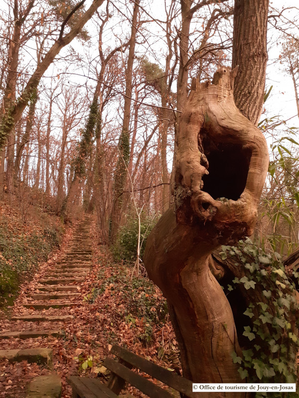 Chemin - © Office de tourisme de Jouy-en-Josas Chemin