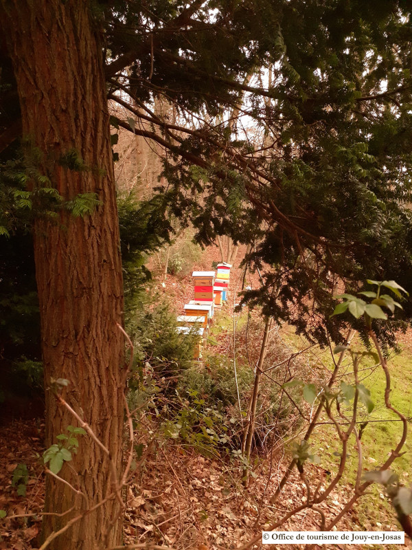 Rucher de Jouy - © Office de tourisme de Jouy-en-Josas Rucher de Jouy