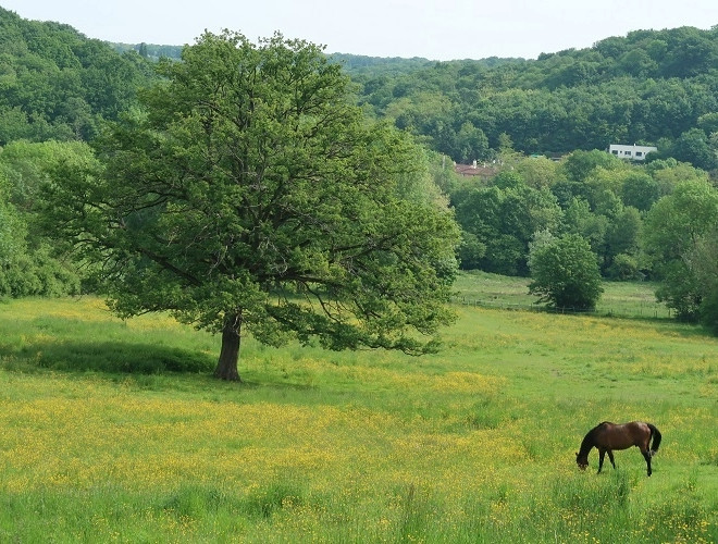 Les loges ©domaine de montéclin