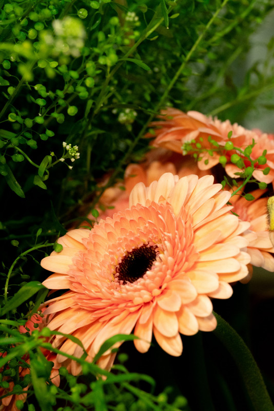 Instants Champêtres_Versailles Instants Champêtres_Versailles