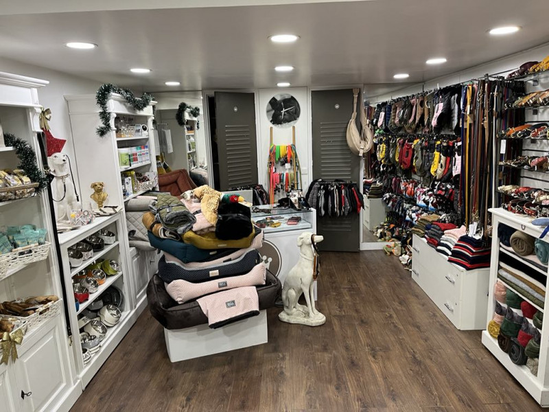 Au Royaume de Gazelle_Versailles Au Royaume de Gazelle_Versailles