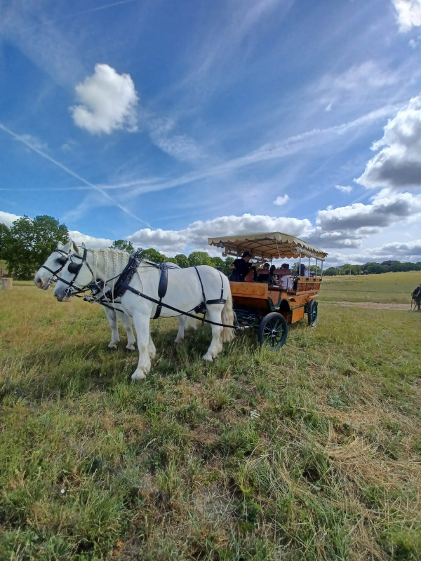 Les Calèches de Versailles