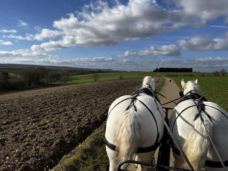 Les Calèches de Versailles