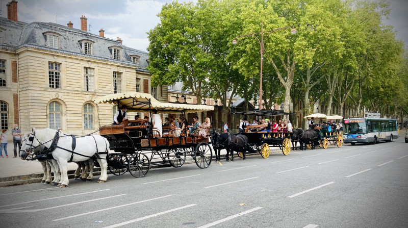 Les Calèches de Versailles