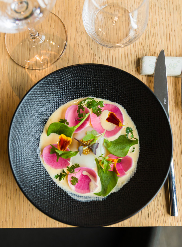 Le Camélia_Bougival