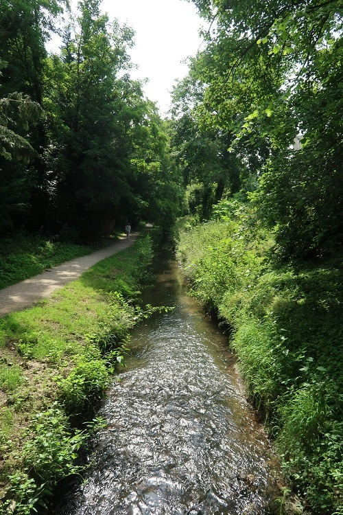 La Bièvre à Bièvres - © DR/SIAB La Bièvre à Bièvres