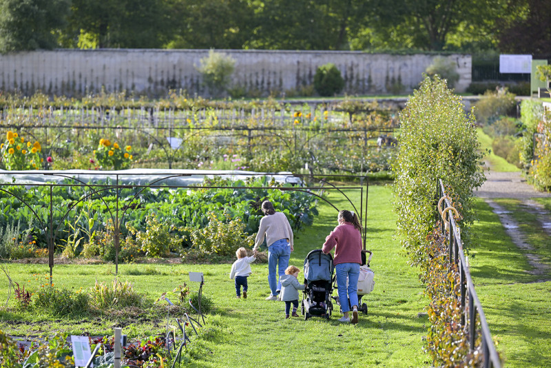 Potager du Roi