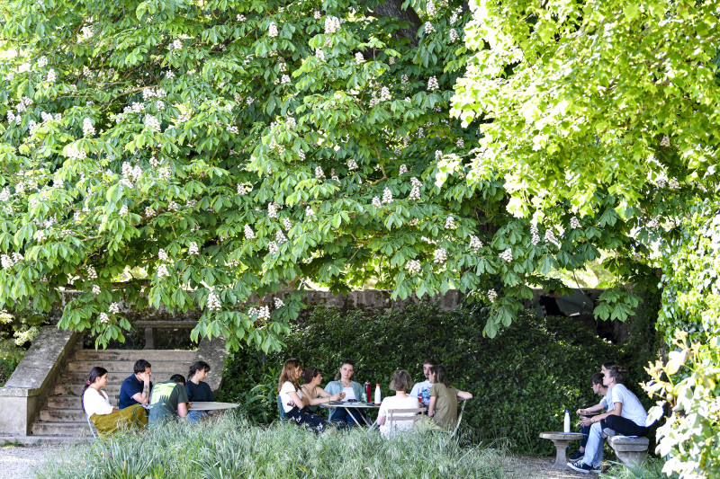 Potager du Roi