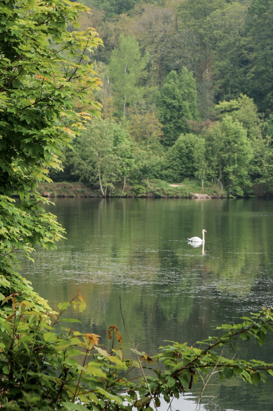 Parc des côtes de Montbron_Jouy-en-Josas