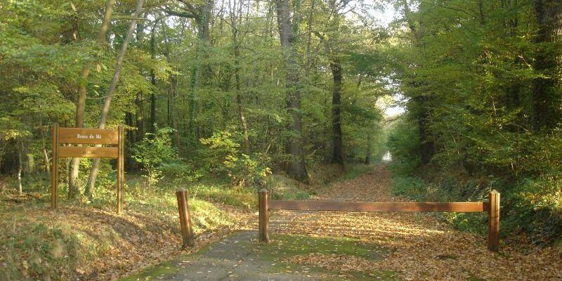 Domaine du Monteclin_Bièvres - © Mairie de Bièvres Domaine du Monteclin_Bièvres