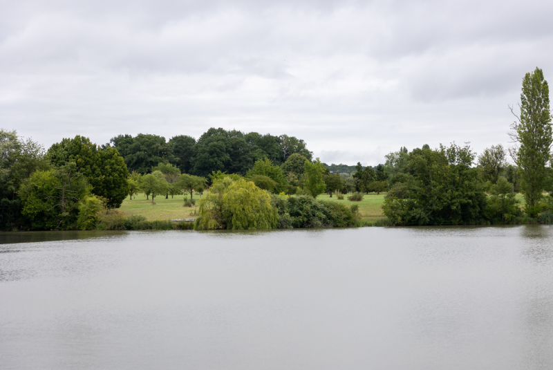 activite-nature-arboretum-versailles-chevre-loup-146205