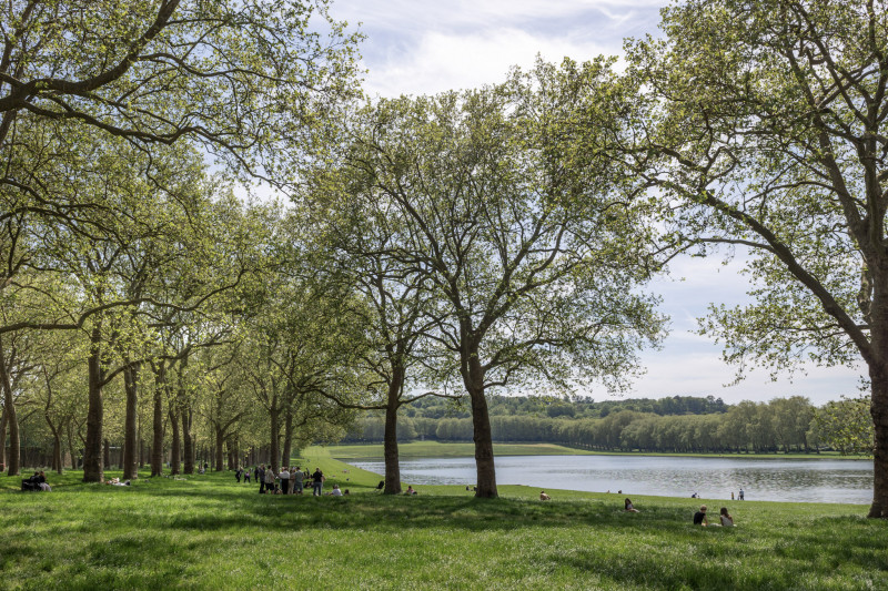 piece-d-eau-des-suisses-versailles-balade-nature