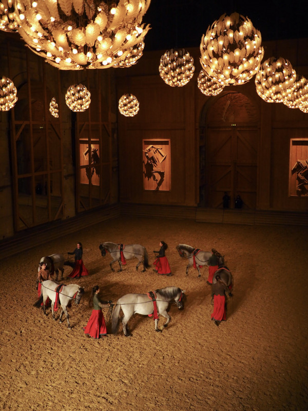Académie Equestre - Spectacle La Voie de l'Ecuyere