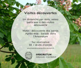 Visites découvertes de l'Arboretum de Versailles-Chèvreloup: Fleurs de Printemps_Le Chesnay-Rocquencourt