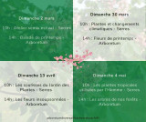 Visites découvertes de l'Arboretum de Versailles-Chèvreloup: Fleurs de Printemps_Le Chesnay-Rocquencourt