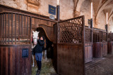 Les boxes des chevaux