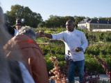Les Saveurs du Potager