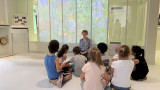 img-8146-50370