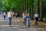 picnic bike park versailles castle lunch basket sandwich positive deli rental