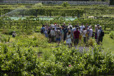 photos-didier-plowy-37692
